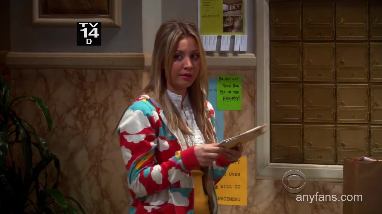 TheBigBangTheoryS03E20	
生活大爆炸	